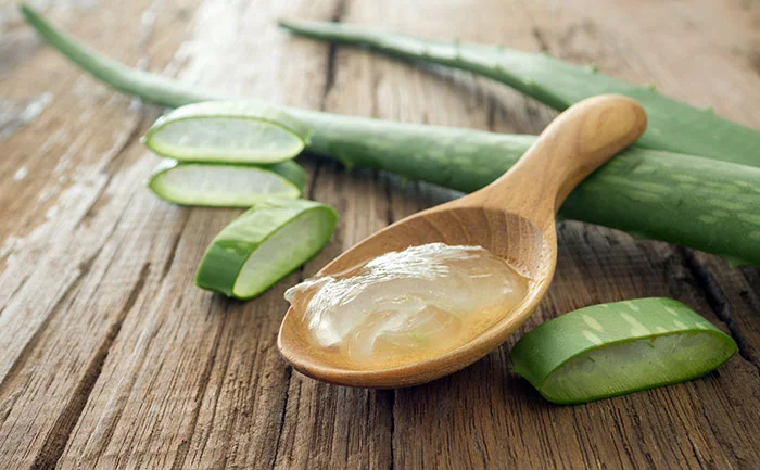 Aloe vera (Kumari) in ayurvedic wound care: From traditional use to molecular mechanisms